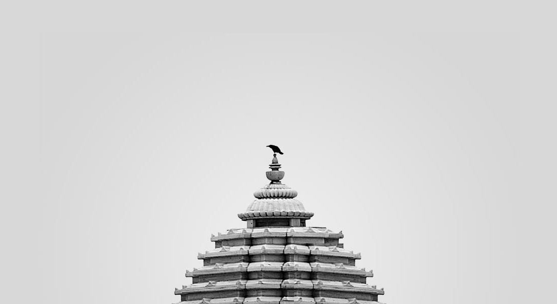 Photo of a crow in Jaipur, India